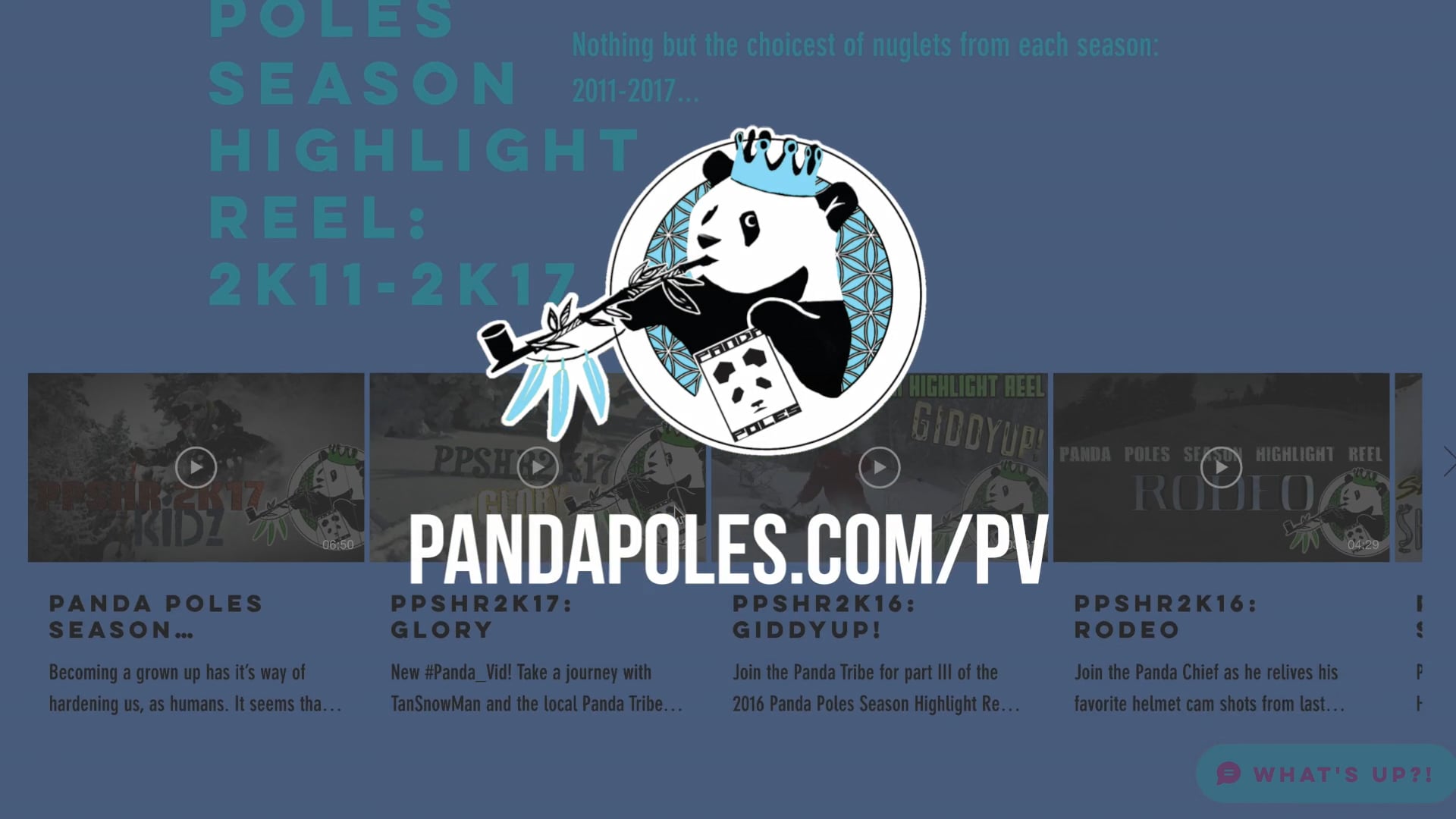 Welcome to Panda Vision!
