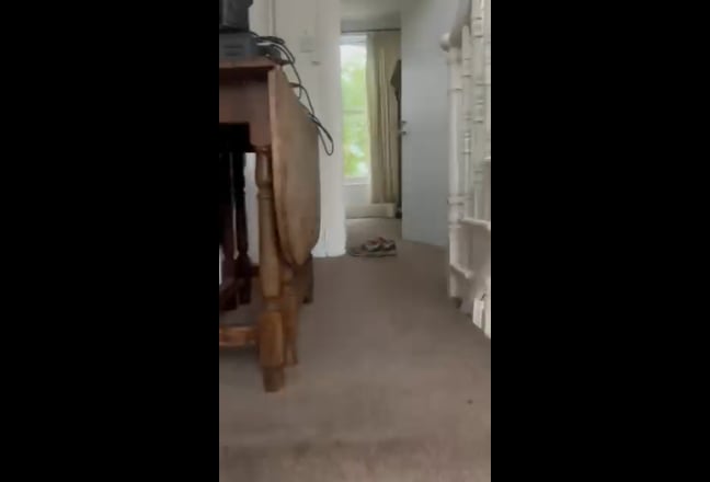 Video 1: