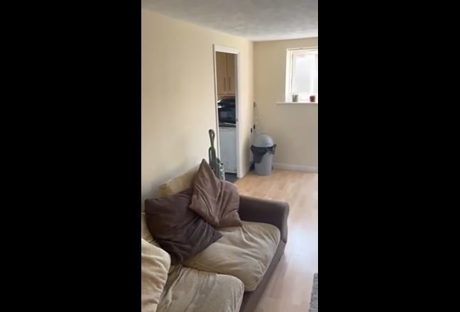 Video 1:
