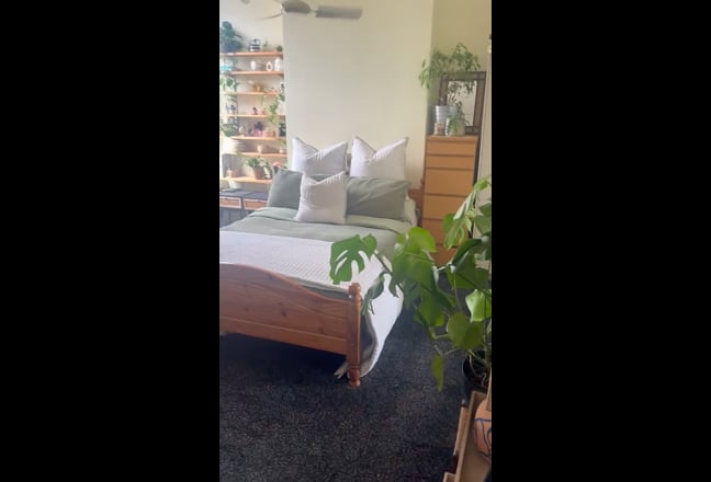 Video 1: