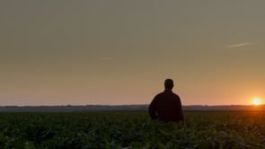 Bayer Traits | Innovation In Action