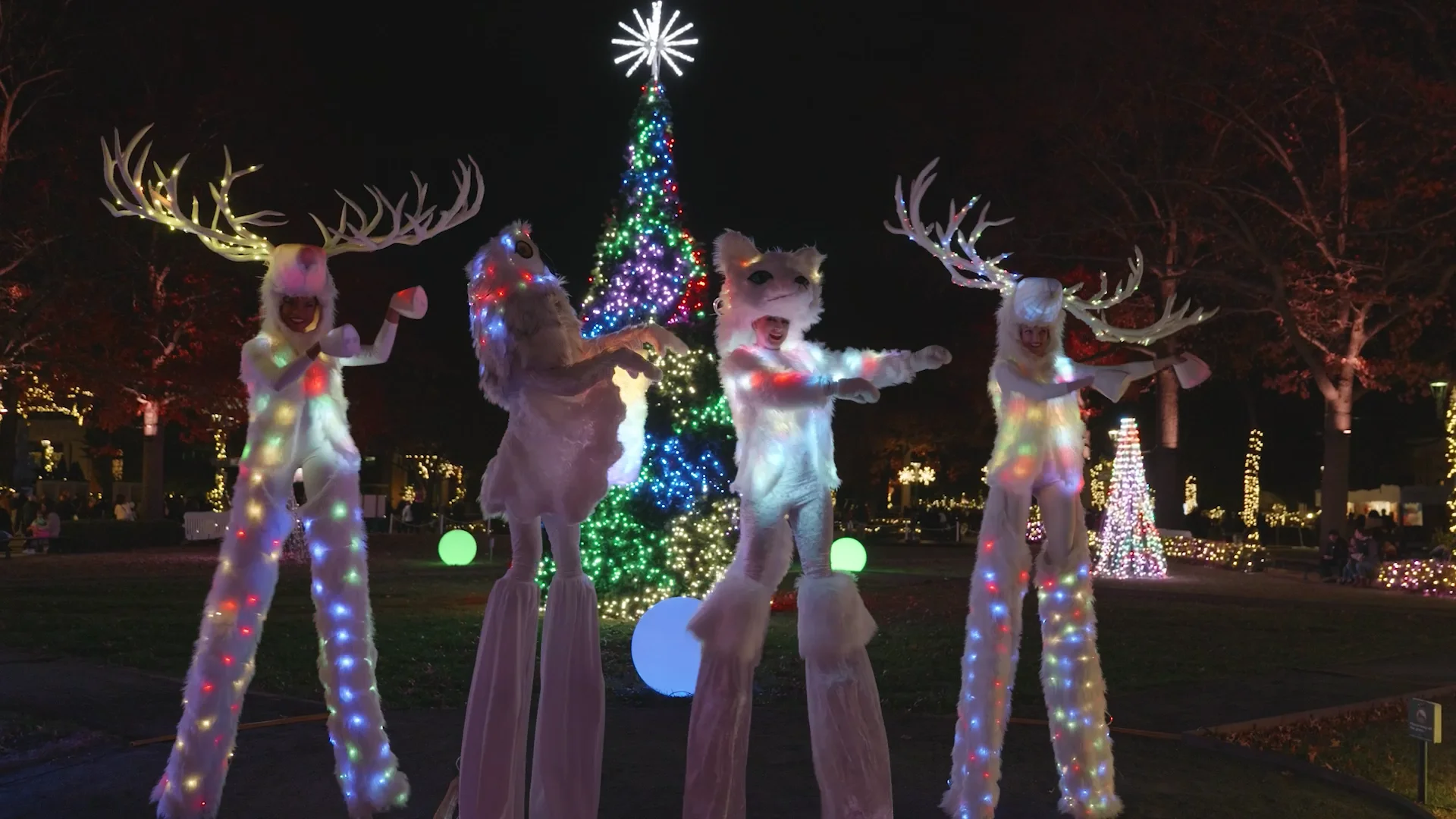 The 5 Things You MUST See & Do at Holiday Lights - Bronx Zoo
