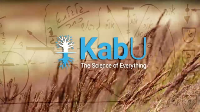 Aug 31, 2025 –  The Reforming Light & BB Dissemination Department