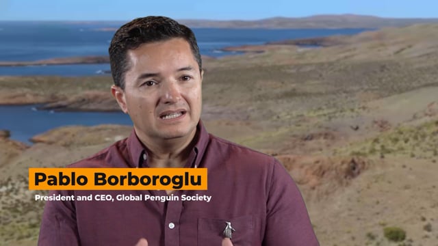 Global Penguin Society