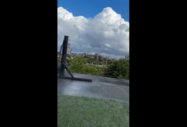 Video 1: Approach