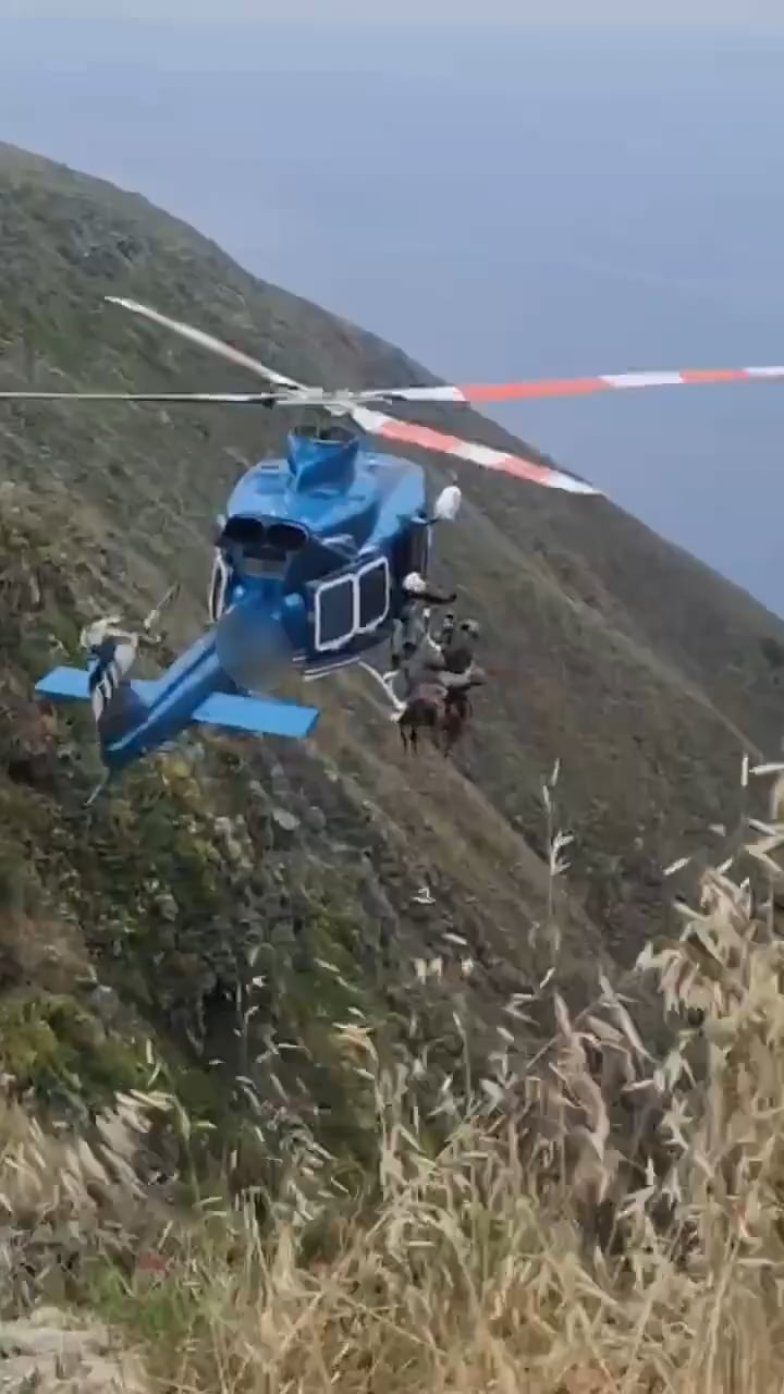 https://i.vimeocdn.com/video/2054597172-d9ece8ccfd800869ce5136bb13706da5c0fa7dda2ce836359ee0e981ee093f32-d