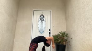 The Blossoming Spine