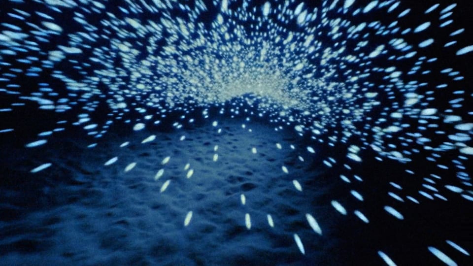 Photo from BEKAR - SAISON