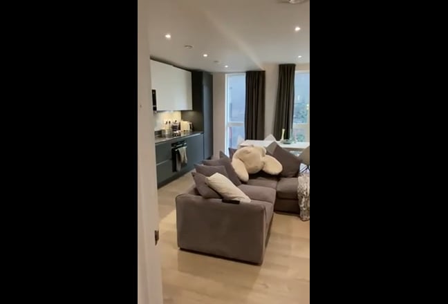 Video 1: