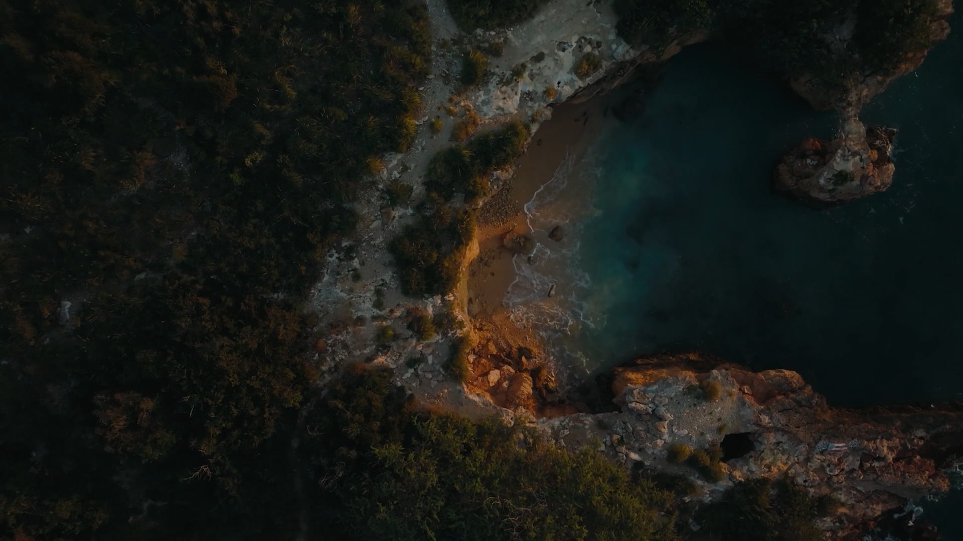 Mark Castle | Director, project: ESENCIA PUERTO RICO (Thumbnail landscape)