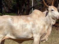 Lote 28