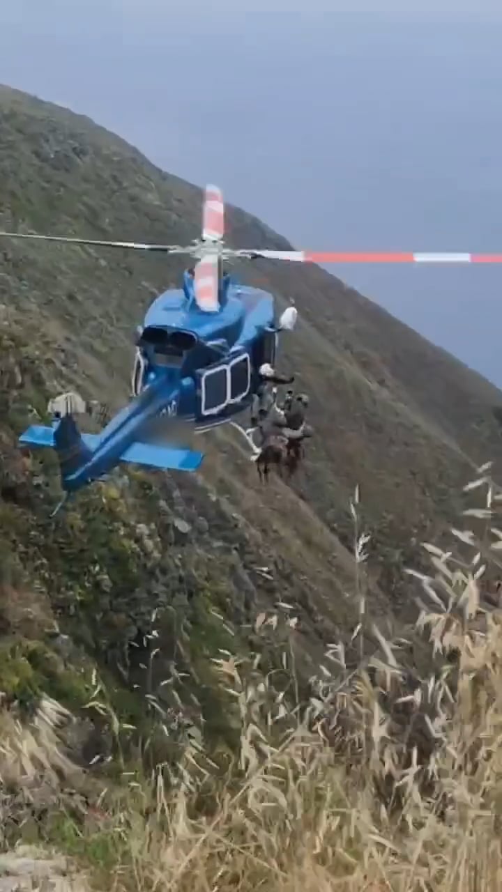 https://i.vimeocdn.com/video/2054887989-8847630ef38861ab7efc160570410cc4d8b67e74cd64c2c1210eb27877c33ae5-d