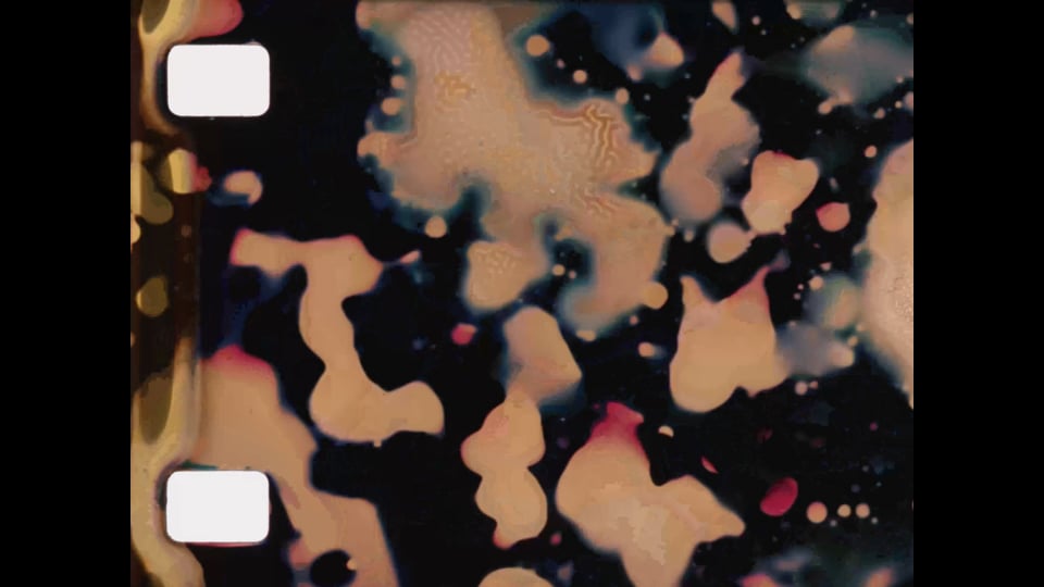 Untitled Film Disinfection Project I