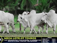 Lote 90
