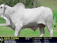 Lote 59
