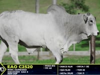 Lote 23