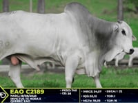 Lote 30