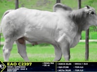 Lote 48