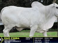Lote 76
