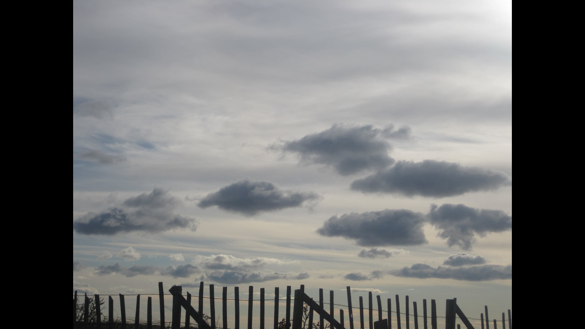 2025 August 25: Karuna for Ancestors