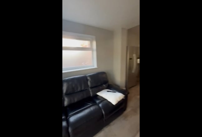 Video 1: