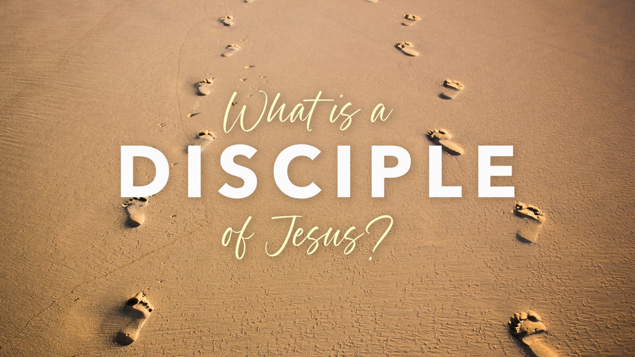 What is a Disciple of Jesus? – Week 3: “Do What Jesus Would Do”