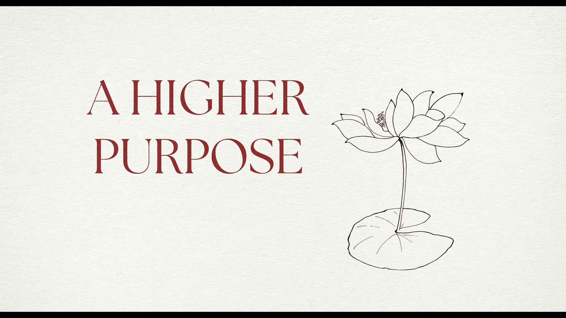 A HIGHER PURPOSE