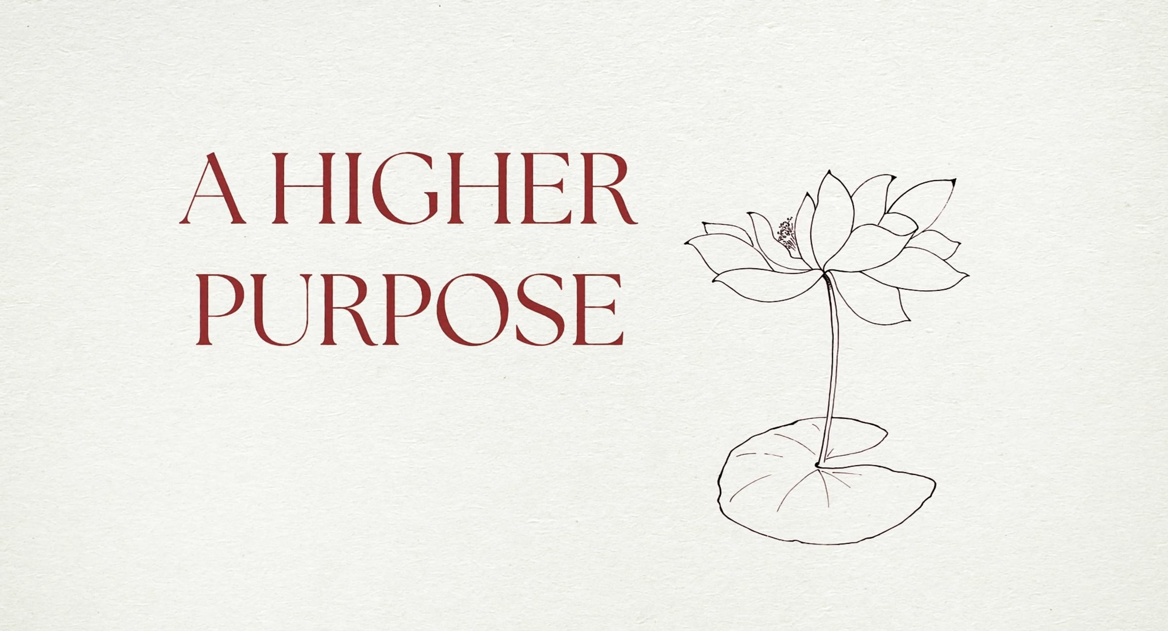 A HIGHER PURPOSE | Videos & Movies on Vimeo