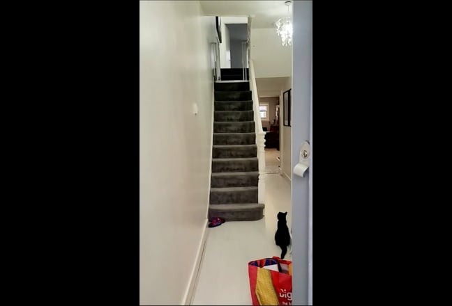  Females Only/ Quiet Family Home Please Read Main Photo