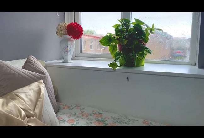 Video 1:
