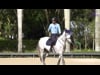 Lateral Work in Walk & Trot: The Slalom (Part 4)