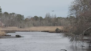 OSPREYS APRIL 2024