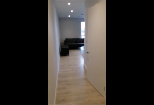 Video 1:
