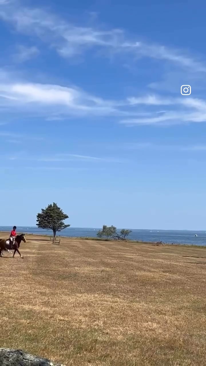 https://i.vimeocdn.com/video/2055340100-4855f92be2cd65bd7d21e94ff31a596e50a4a71e900aeee67b61fcf4e15c604b-d