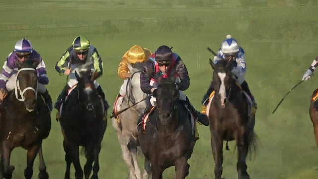 G1 Ready to Run Graduates