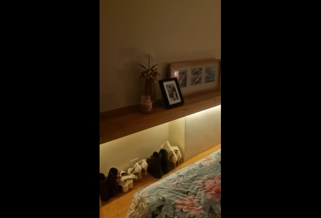 Video 1: