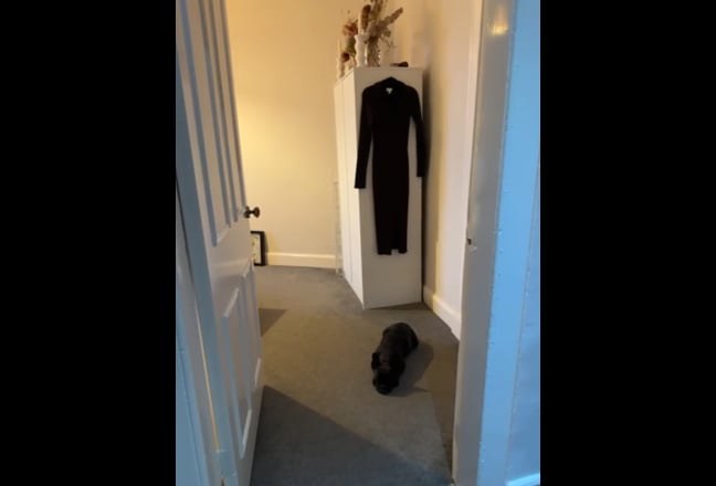 Double room available in Leith flat Main Photo