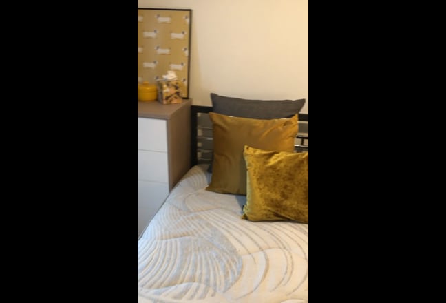 Sociable Graduate House Share Main Photo