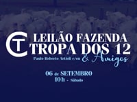 VT COMERCIAL