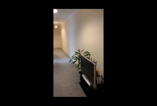Video 1: