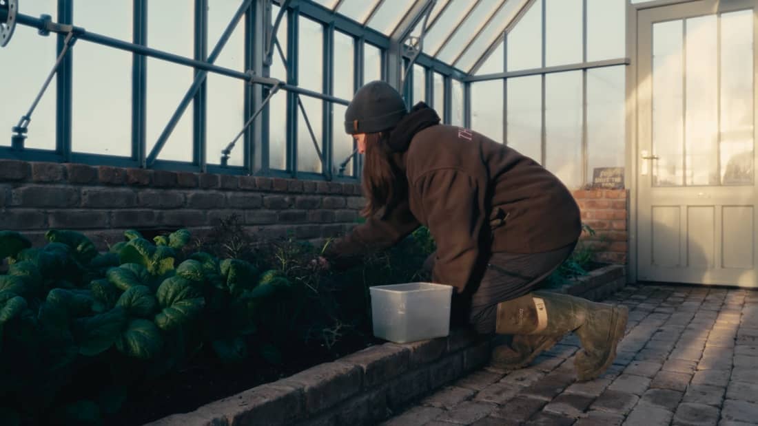 The Pig (original) — interior and exterior view 8