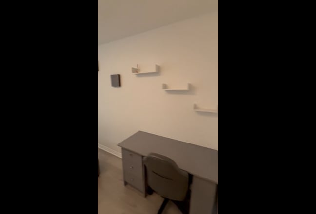 Video 1: