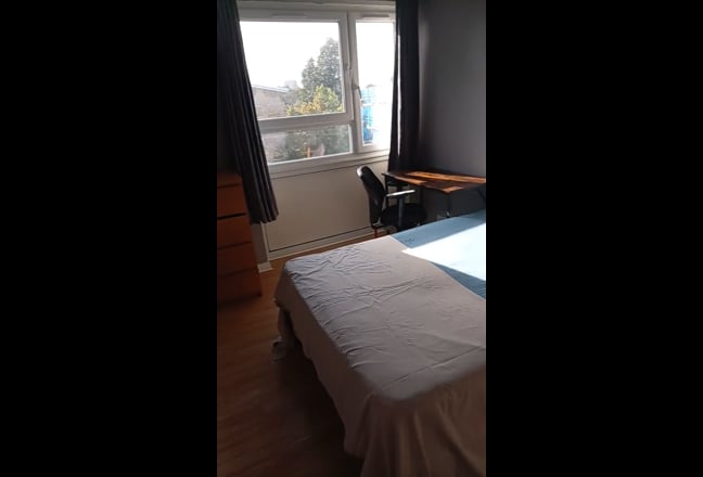 Video 1:
