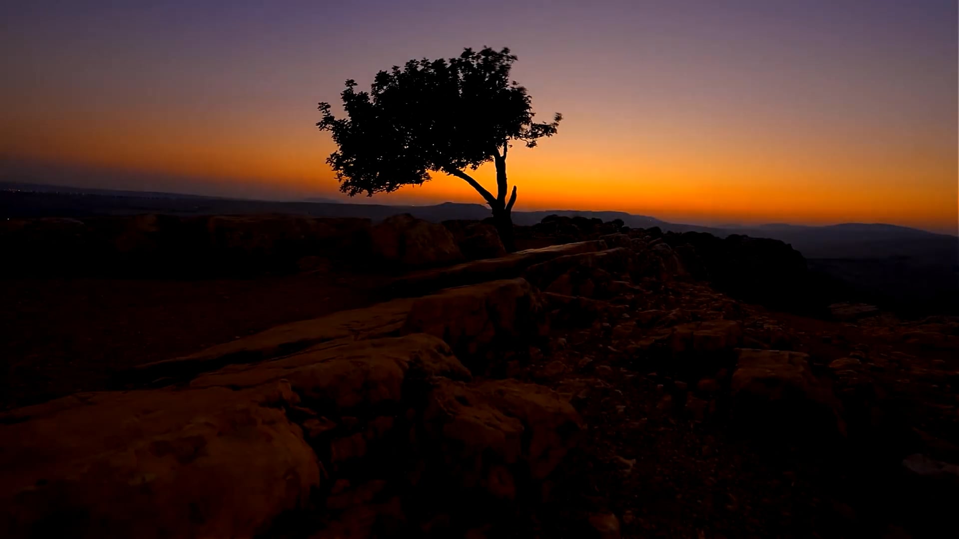 HMH 2025 LBJ Moral Courage Award Honoree Video: Jon and Rachel Goldberg Polin