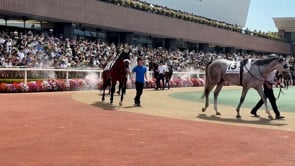 動画サムネイル