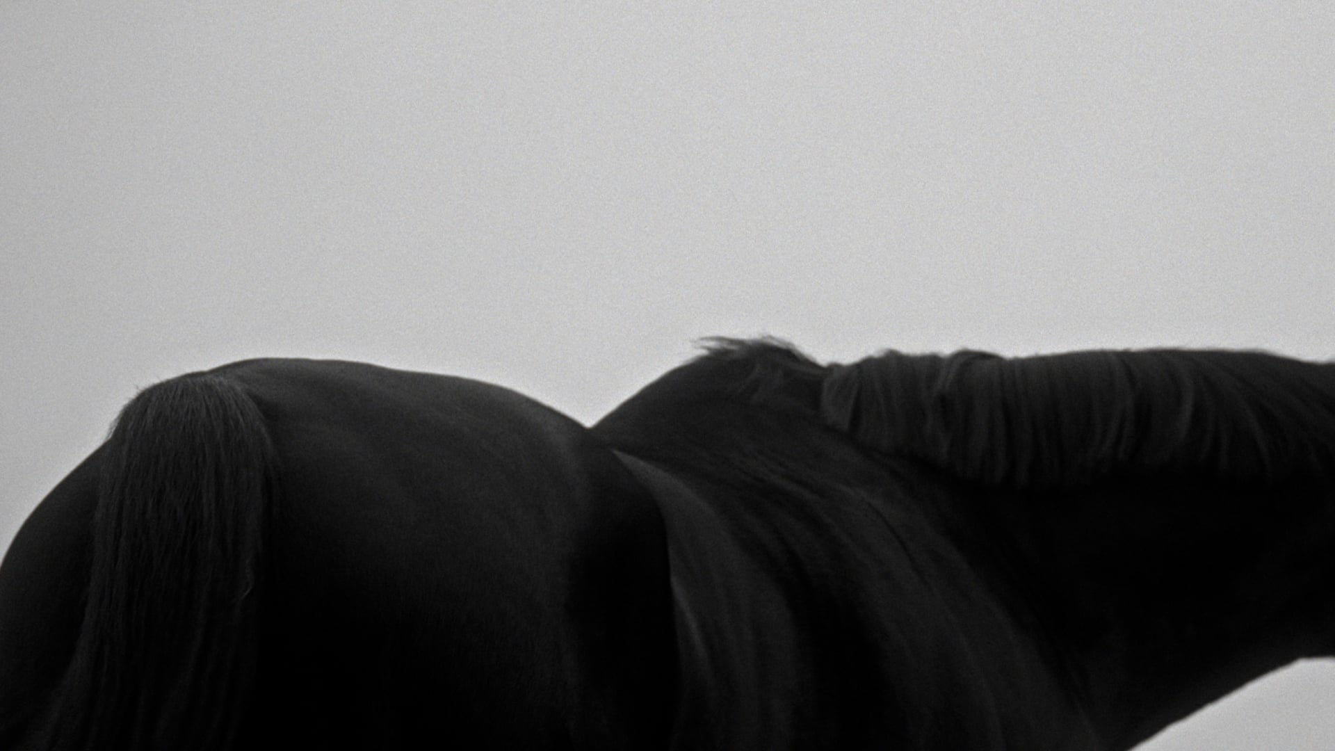 Mark Castle | Director, project: LAVENHAM | MADE IN SUFFOLK ((Thumbnail landscape))