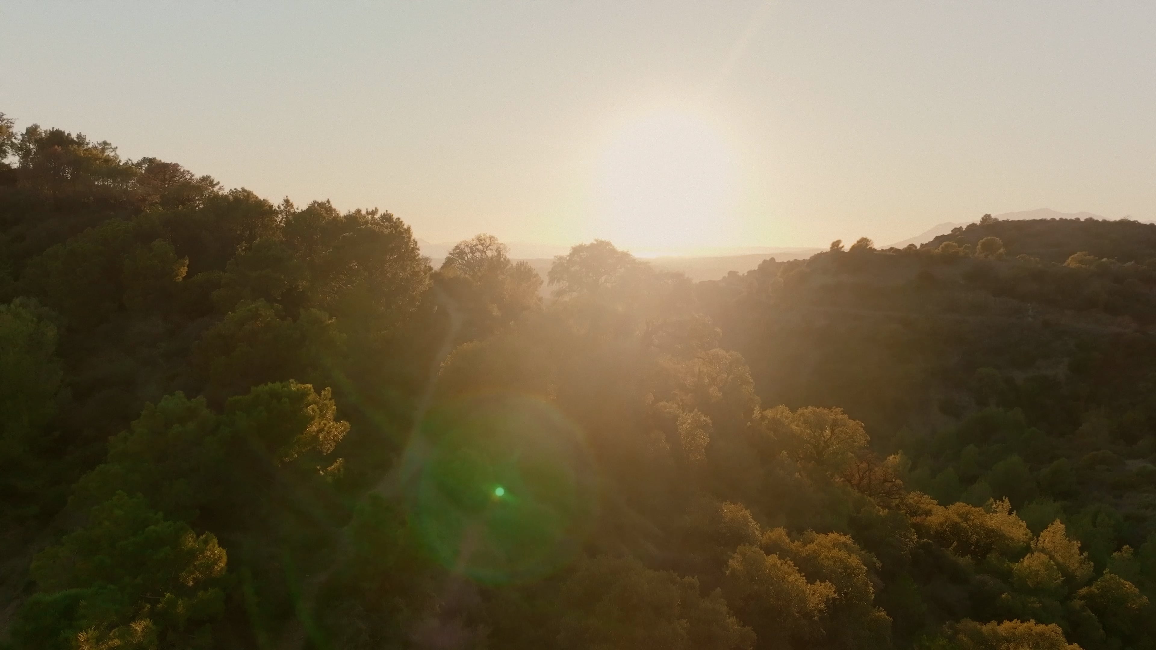 Mark Castle | Film Director & Content Creator, project: SILA BY NOVAK DJOKOVIC ((Thumbnail landscape))