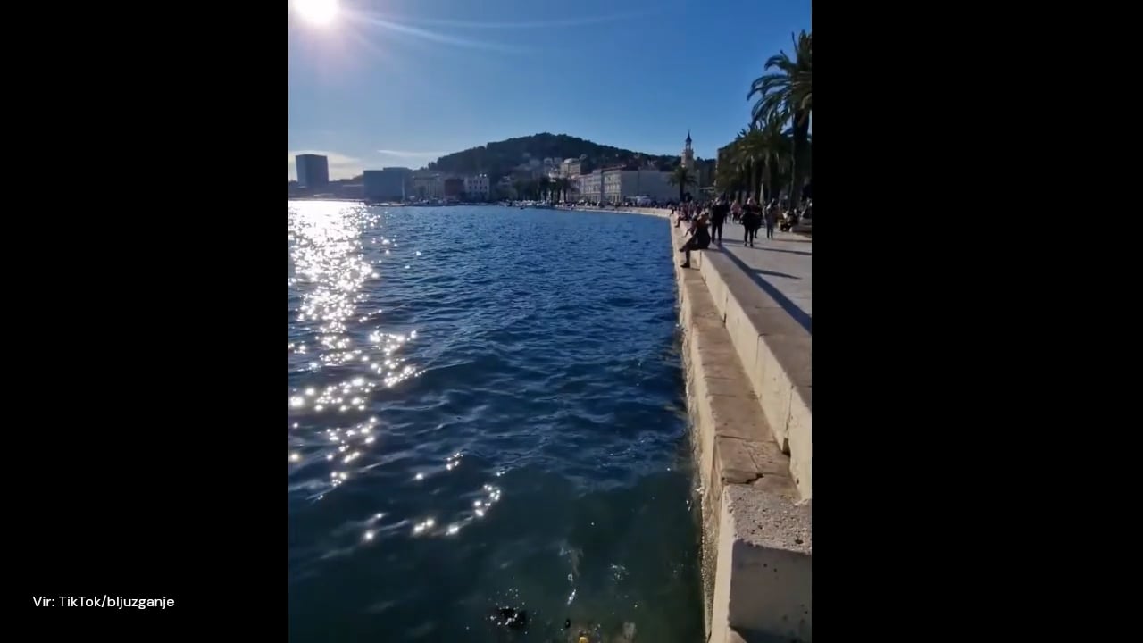 Turisti so bili zgroženi, ko so videli, kaj plava v Jadranskem morju