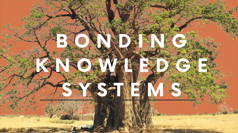 The Big Five of Knowledge: A Transdisciplinary Safari Game in Johannesburg South Africa