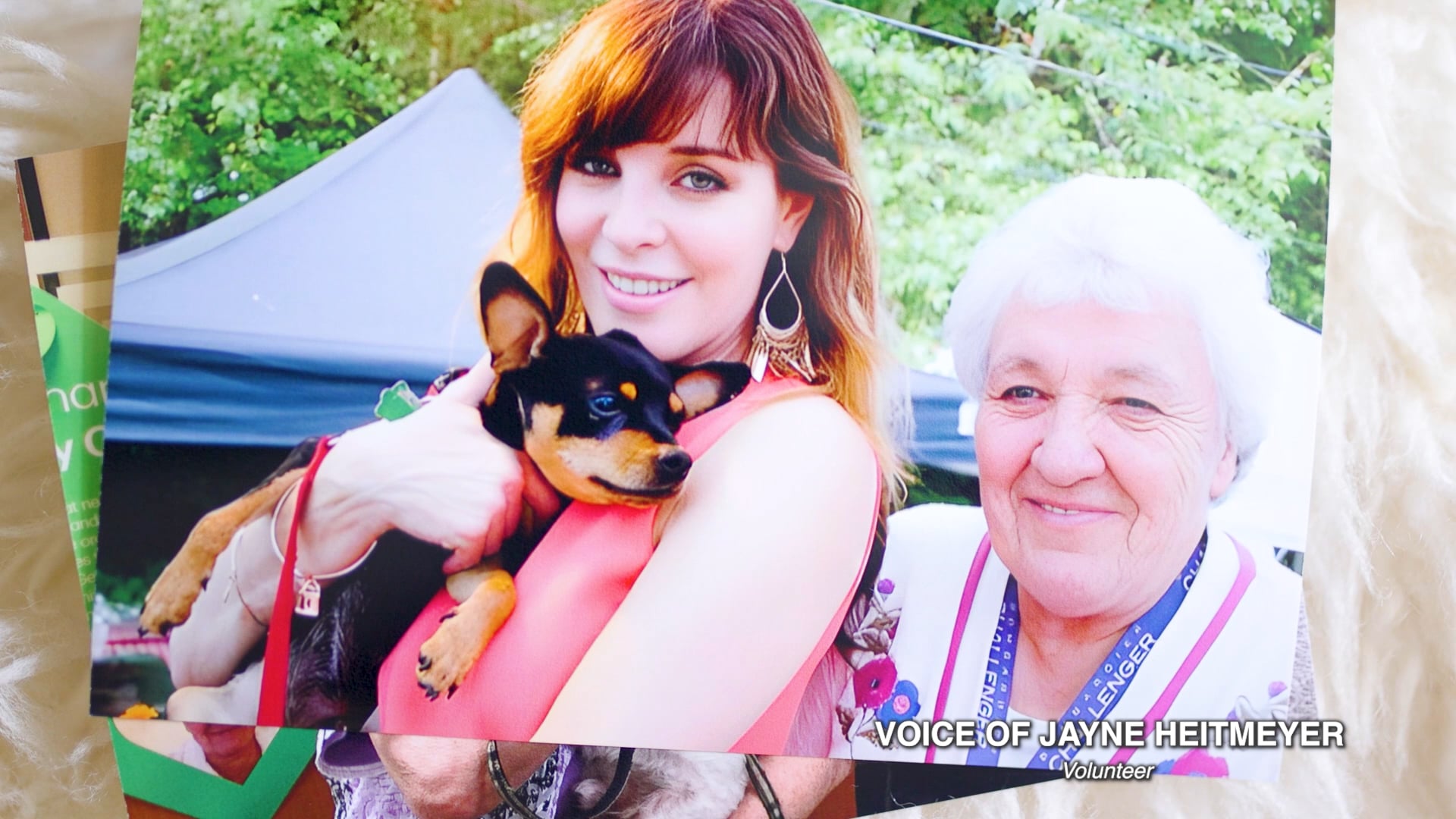 Gerdy's Rescues & Adoptions (Purpose Video)